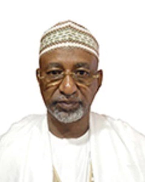 Alhaji Abdullahi Bamanga, Director